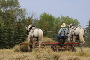 Featured image for “Executive Orders for Greater Rural Broadband Access”