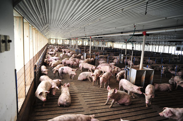 Featured image for “A Pledge To Help Those Impacted by Smithfield Foods’ Pending Beaver County Operation Closure”