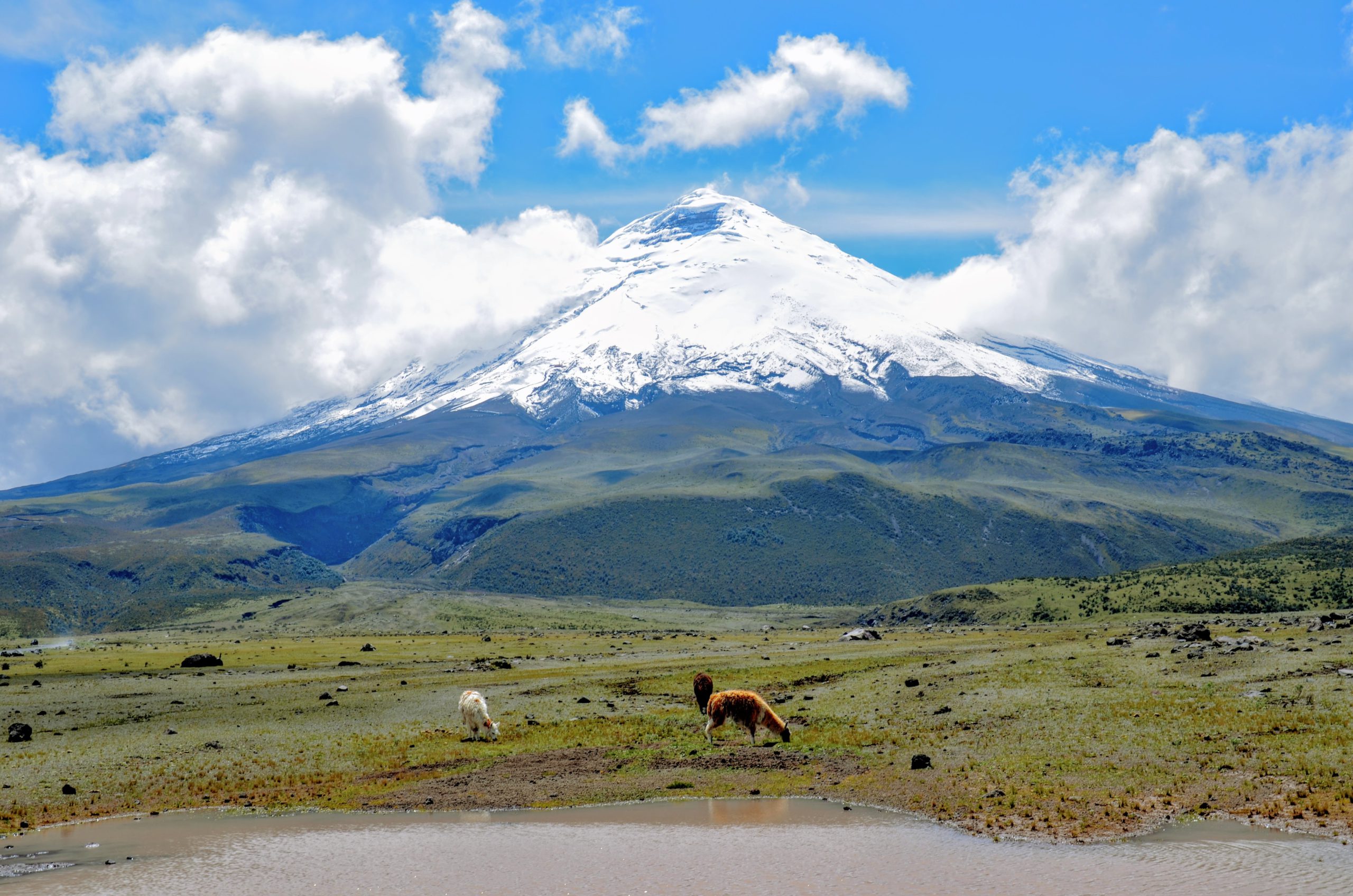 Featured image for “Podcast: Cotopaxi — Responsibility and Sustainability”